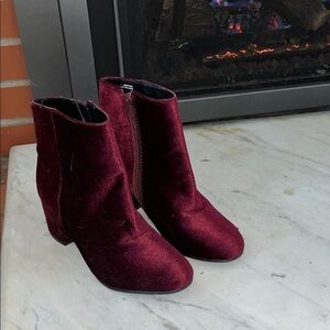 Steve Madden Velvet Ankle Boots - Deep Burgundy
